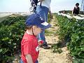 2004-05 Villetain 018